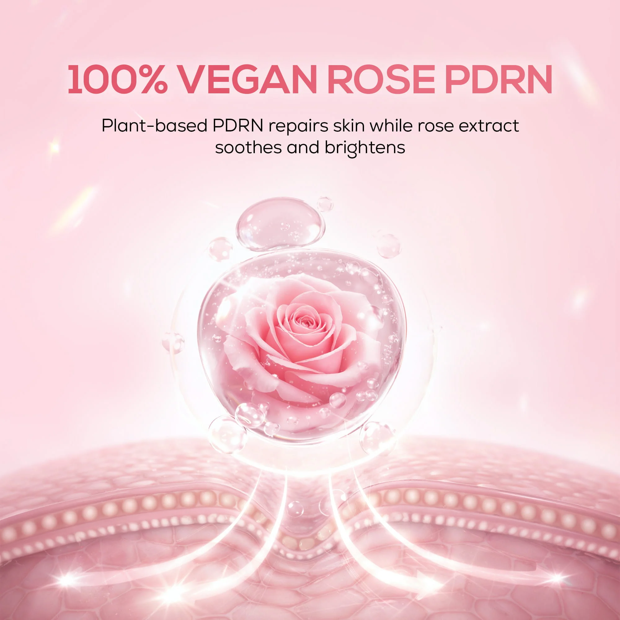 RENEE Pink Therapy PDRN 2-In-1 Sunscreen + Moisturizer | In-Vivo Tested SPF 50 PA+++ With 2% Niacinamide, Ceramides & Peptides, 50g - Image 5